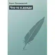 Постер книги Что-то в дожде