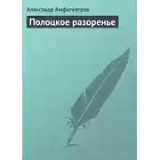 Постер книги Полоцкое разоренье