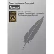 Постер книги Гриша