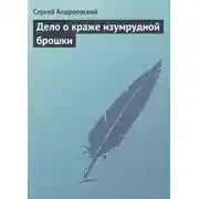 Постер книги Дело о краже изумрудной брошки
