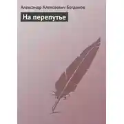 Постер книги На перепутье
