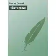 Постер книги «Встряска»