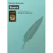 Постер книги Вьюга