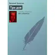 Постер книги Три дня