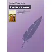 Постер книги Кипящий котел