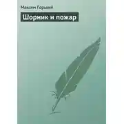 Постер книги Шорник и пожар