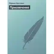Постер книги Приключение