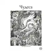Постер книги Чудеса