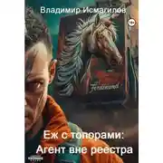 Постер книги Еж с топорами: Агент вне реестра