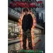 Постер книги Несправедливость