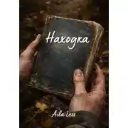Постер книги Находка
