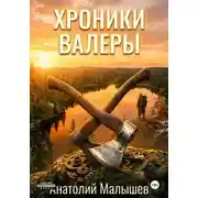 Постер книги Хроники Валеры