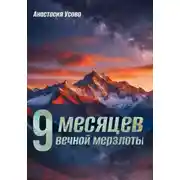 Постер книги 9 месяцев вечной мерзлоты