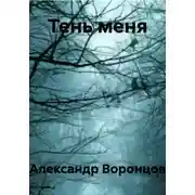 Постер книги Тень меня