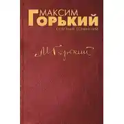 Постер книги Проводник