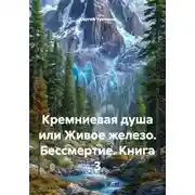 Постер книги Кремниевая душа или Живое железо. Бессмертие. Книга 3