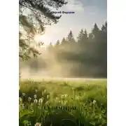 Постер книги О вечном…