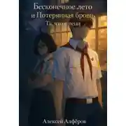 Постер книги Бесконечное лето и Потерянная брошь. Книга пятая – Та, что в тени