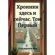 Постер книги Хроники здесь и сейчас. Том Первый