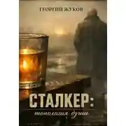 Постер книги Сталкер: топология души