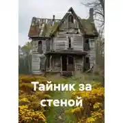 Постер книги Тайник за стеной