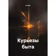 Постер книги Курьезы быта