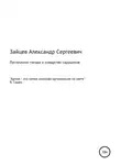Александр Зайцев - Ласточкино гнездо и коварство сарацинов