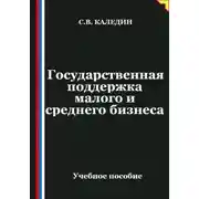 Постер книги Государственная поддержка малого и среднего предпринимательства