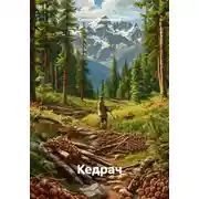 Постер книги Кедрач