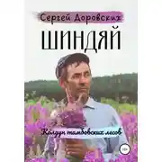 Постер книги Шиндяй. Колдун тамбовских лесов