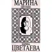 Постер книги Метель