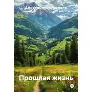 Постер книги Прошлая жизнь
