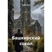 Постер книги Башкирский сокол