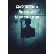 Постер книги Две жизни Василия Мелешкина
