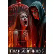 Постер книги Полубояринов 3