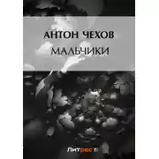 Постер книги Мальчики