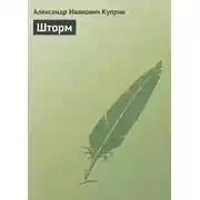 Постер книги Шторм