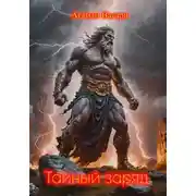 Постер книги Тайный заряд
