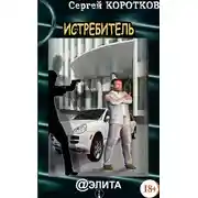 Постер книги Истребитель