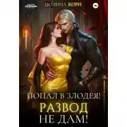 Постер книги Попал в злодея. Развод не дам!