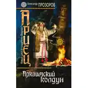 Постер книги Аркаимский колдун