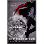 Постер книги Иллюзия