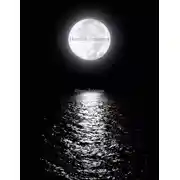 Постер книги Ночной странник