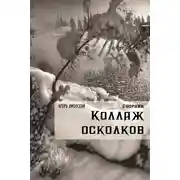 Постер книги Коллаж Осколков