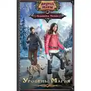 Постер книги Уровень: Магия