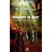 Постер книги Роберт и Мэг из замка внезапных чудес