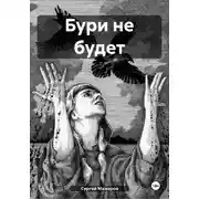 Постер книги Бури не будет