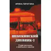 Постер книги Шебекинский дневник-2. Я вам расскажу о Шебекино смелом