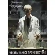 Постер книги Чрезвычайное происшествие