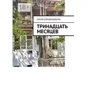 Постер книги Тринадцать месяцев